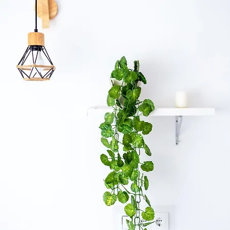 Cama Matrimonio Piso Compartido * Torremolinos