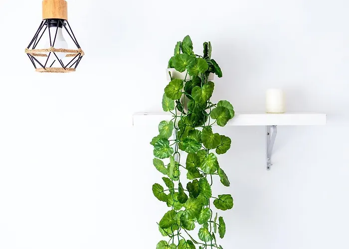 Cerca Aeropuerto Y Playa * Torremolinos